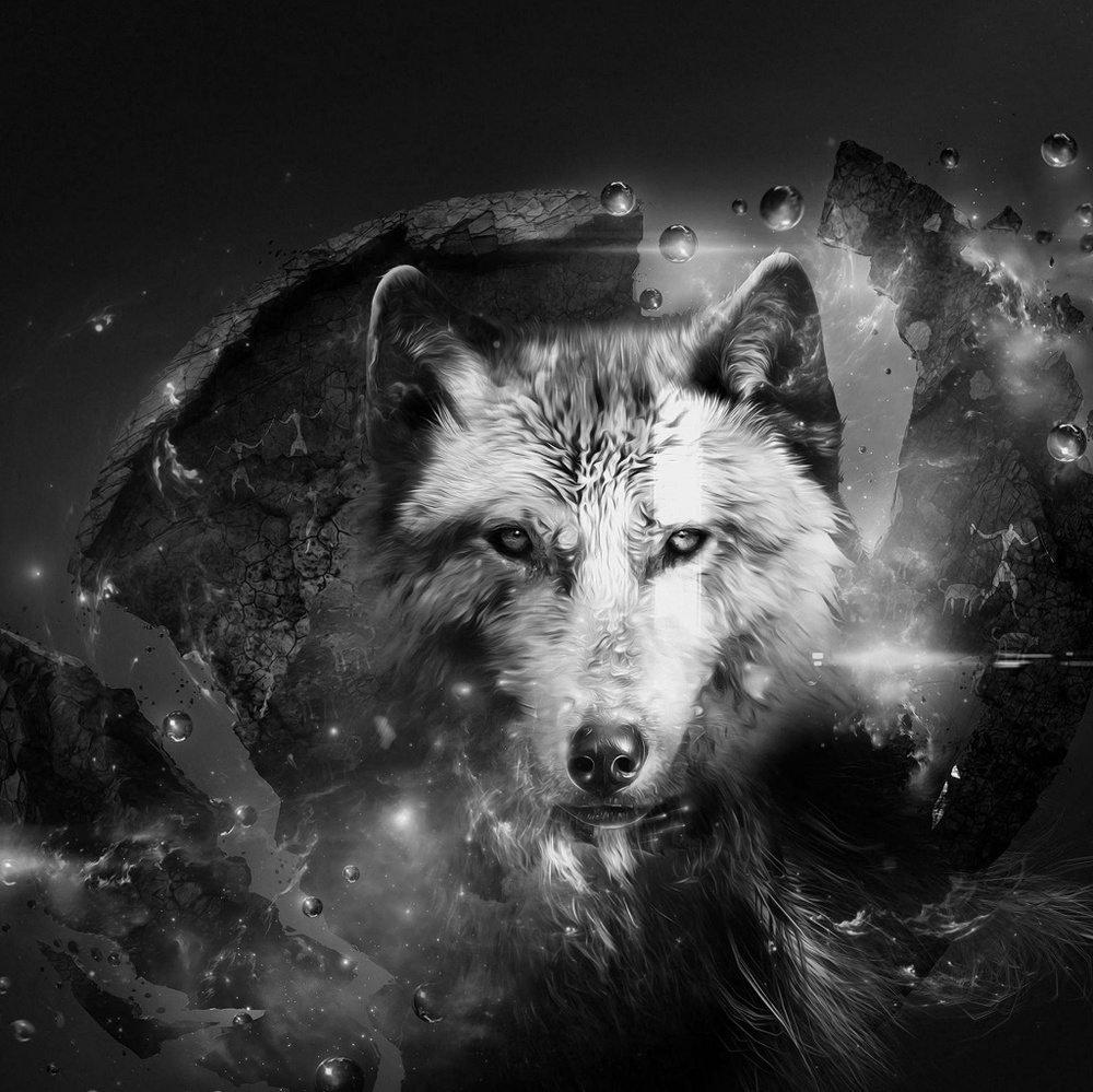 Meet your Posher, Greg